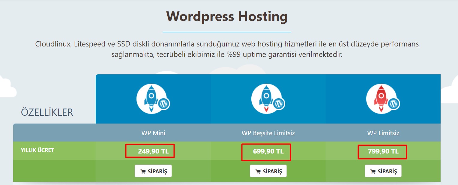 wordpress hosting fiyatı