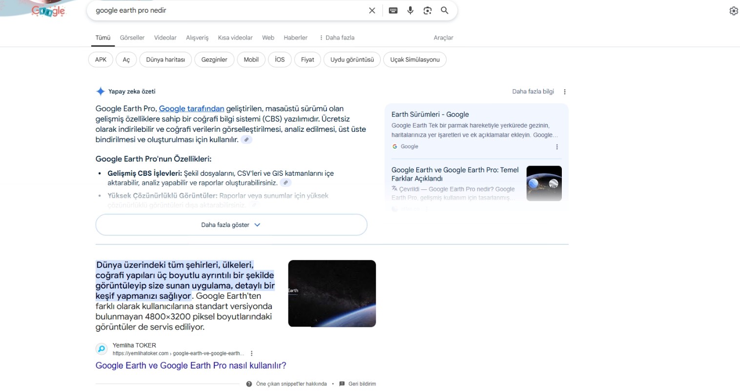 Google AI Öngörüleri: Bir Yıllık İnceleme ve Geleceğe Yönelik Düşünceler